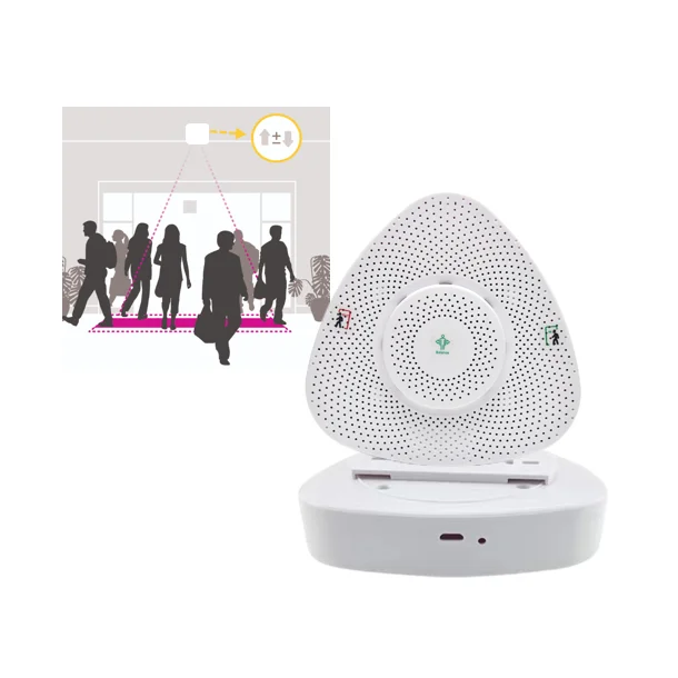 LoRaWAN/4G Wireless Transmission Bi-directional  People Counting Indoors Radar Detection
