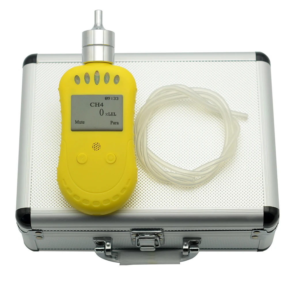 

Hot Sale Portable Phosphine PH3 Detector Leak Detector With Pumping Sampling