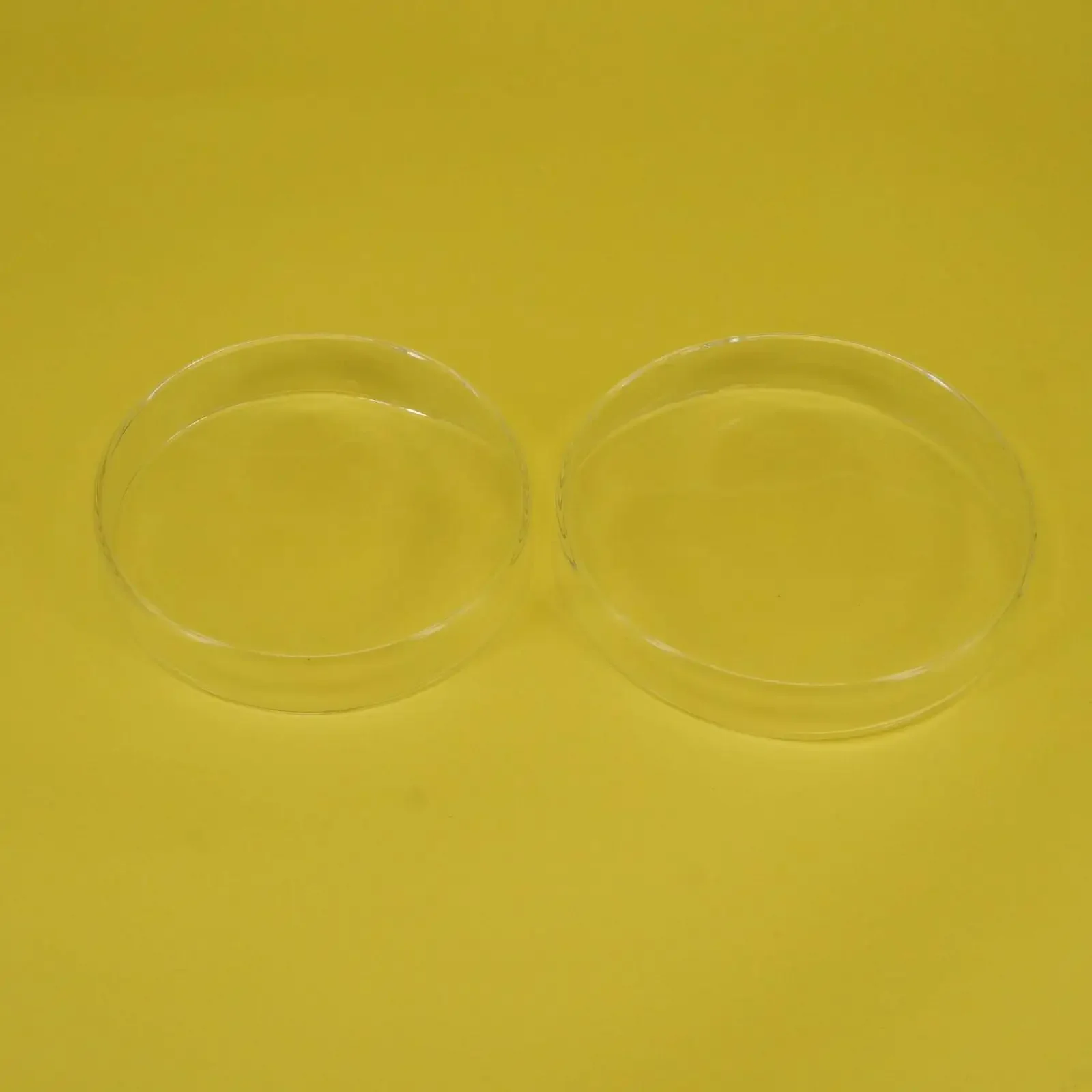 60mm Borosilicate Glass Reusable Tissue Petri Culture Dish Plate With Cover For Chemistry Laboratory