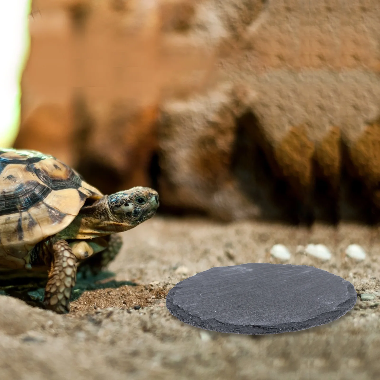 

2Pcs Natural Stone Reptile Basking Platform Lizard Tortoise Tank Decoration Eco Friendly Gecko Snake Relaxation Area