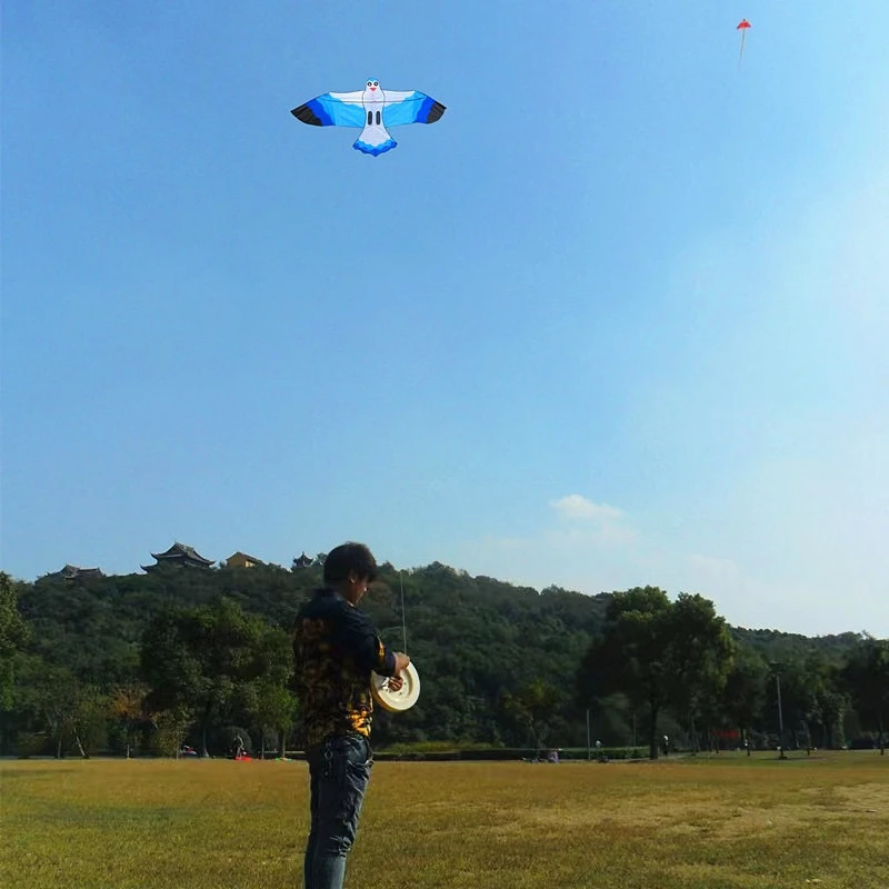 Juguetes voladores de gaviota para niños, cometas de pájaros, línea de cuerda, cerf-volant, parapente, voar pipe koi, envío gratis