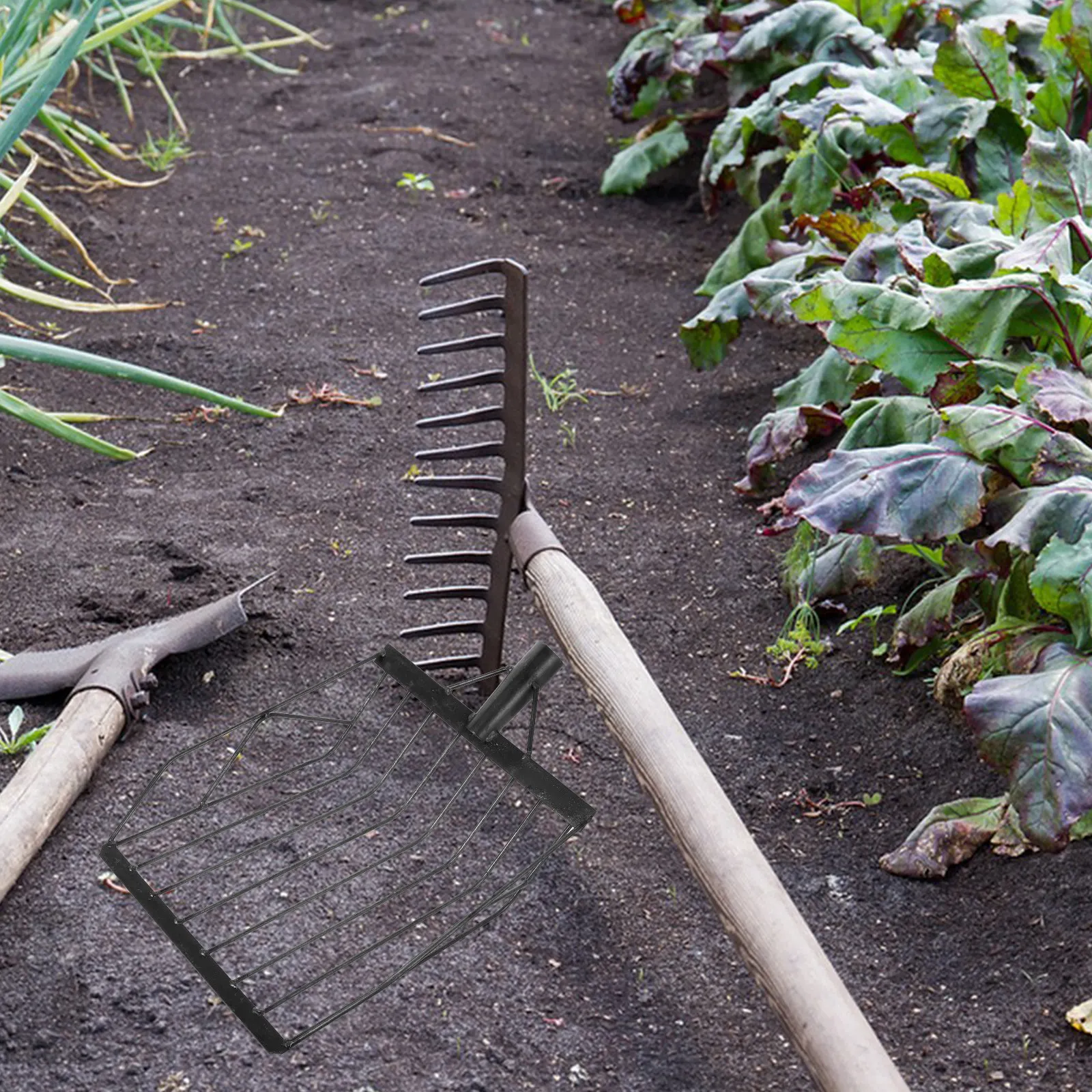 Pala de maíz, herramienta de j - Gardening Tools Spade reseña y precio
