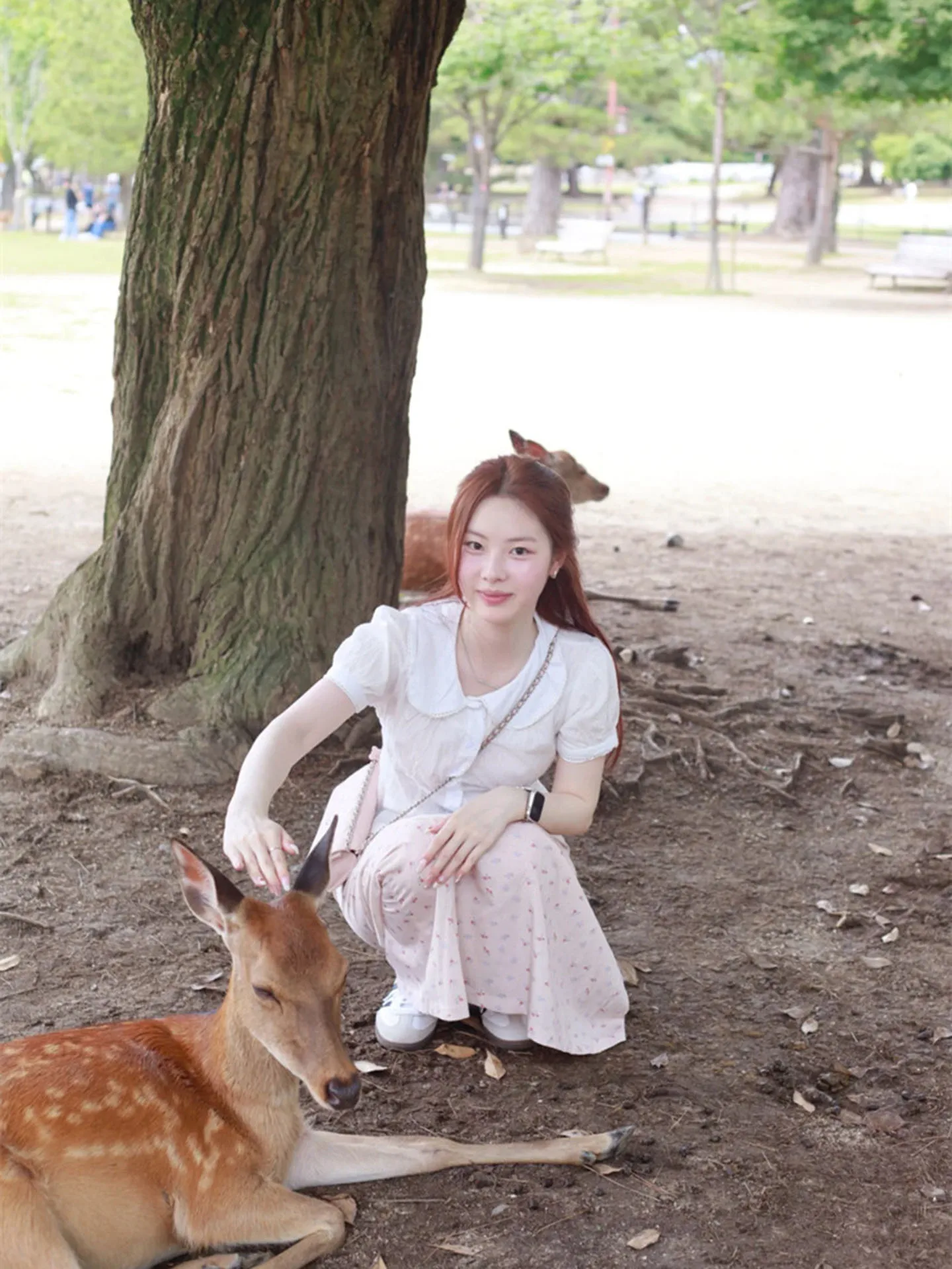 Collar de muñeca con adornos de encaje blanco ort Sve irt, Top universitario de diseño de verano para mujer, nudo moderno Faionable