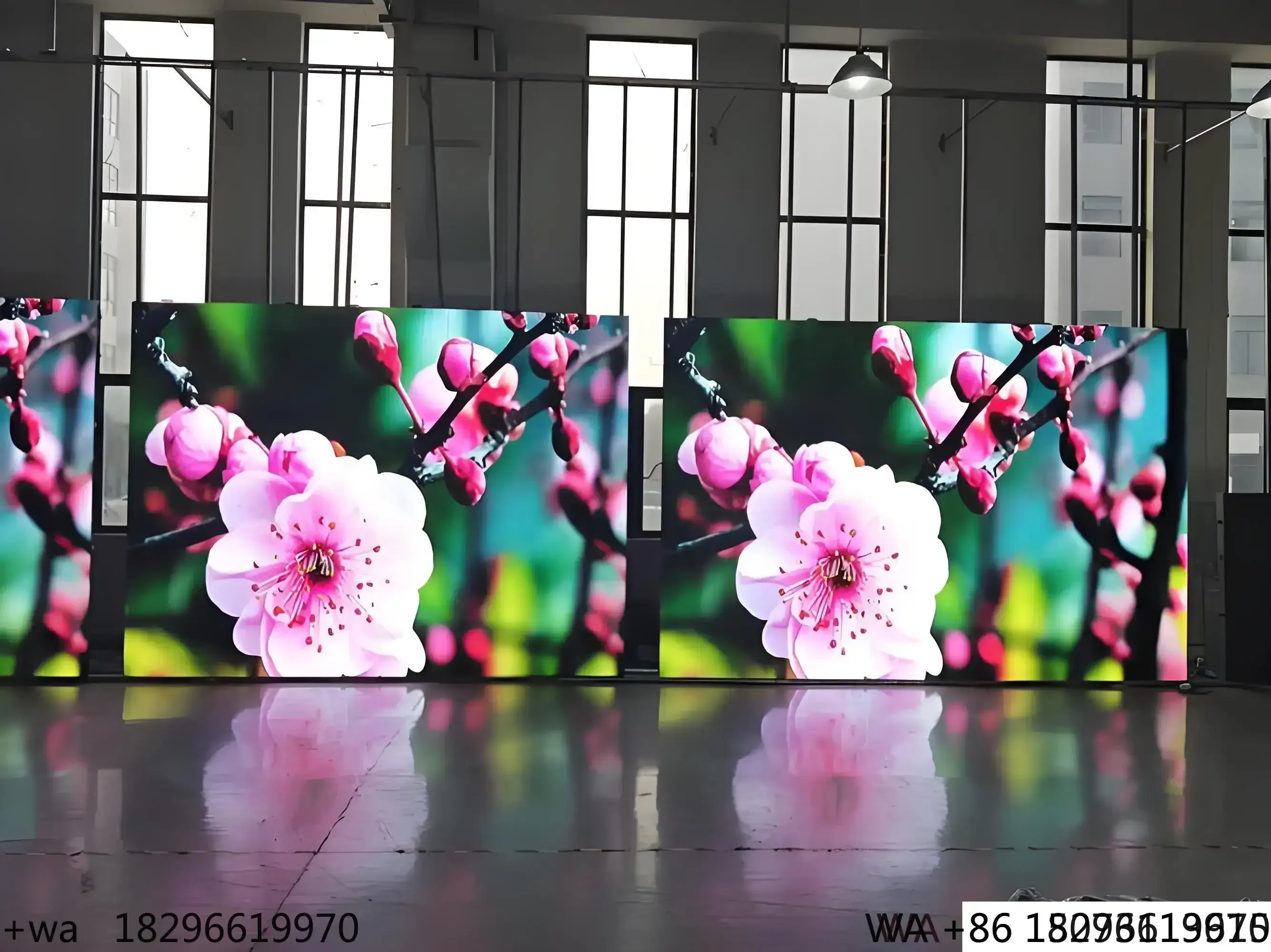 

Indoor P1.86 Fixed LED Video Wall 640x480mm 800-1000CD/m 5-Year Warranty