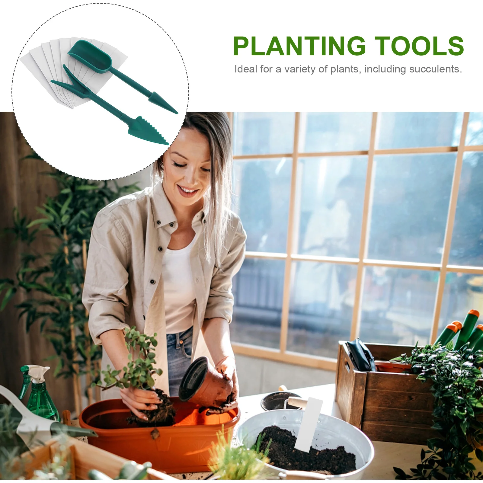 

1 set Succulent Planting Tool Set Gardening Hand Tools Seedling Transplanter Bonsai Bulb Planter Flower Care Durable Easy Use