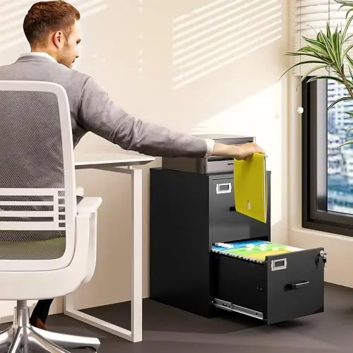 2 Drawer File Cabinet with Lock Vertical Filing Storage Cabinet Office Home Steel Vertical File Cabinets for Letter