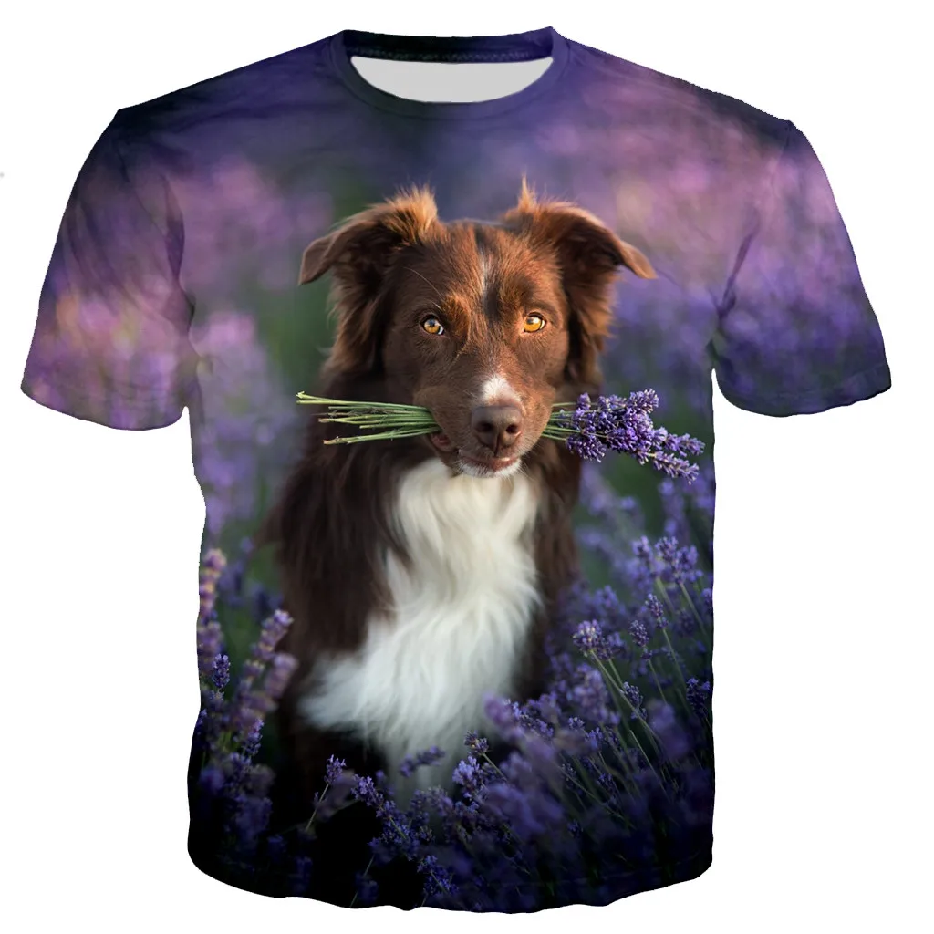 New Fashion Border Collie Male/Female 3d Printed T-shirt Casual Harajuku Style Street Sports Breathable Fitness Fabric