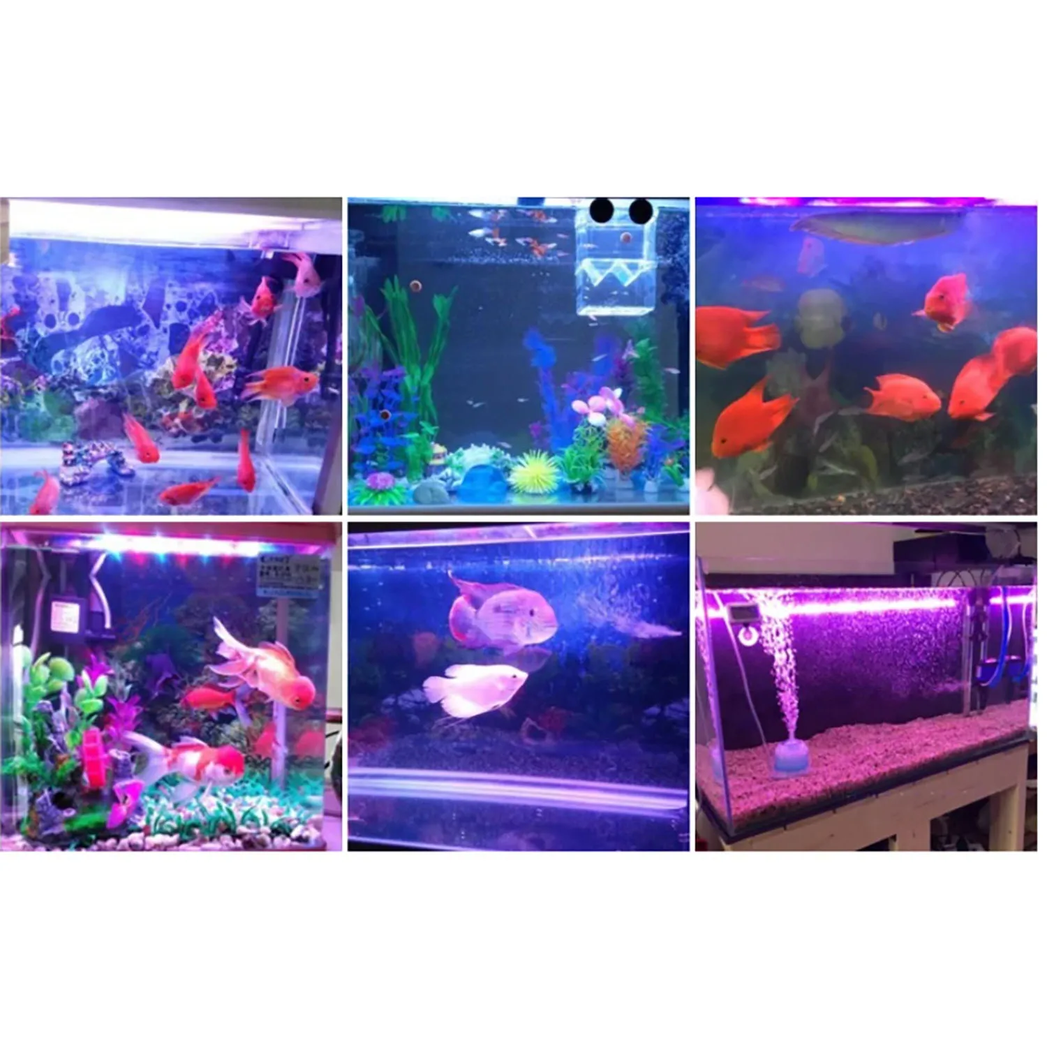 50W 60W 70W 100W RGB 26-28V High power white cayn Red Green Blue uv IR color multichip Aquarium Led Lighting marine aquarium Mul