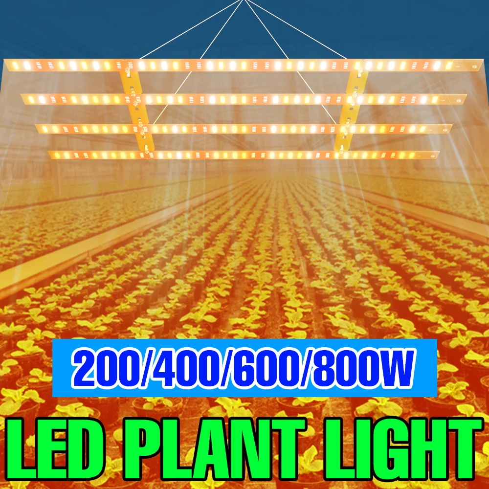 

Светодиодная лампа для растений 800 Вт, AC100-277V, полный спектр, квантовая панель, ИК/УФ, для выращивания в помещении, теплицах, для мха, фруктов и овощей