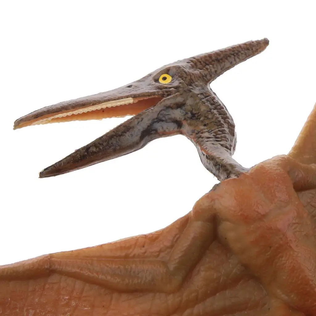 Lifelike Animal Model Educational Pterodactylus Action Figure Plastic Toy for Children Cretaceous Collection