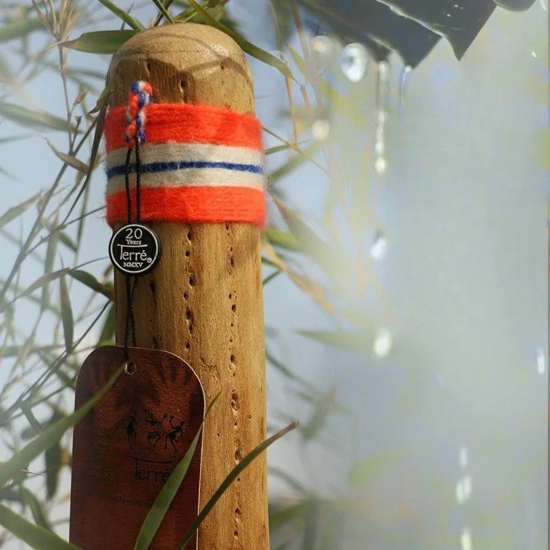 Rainmaker Shaker Cactus Meditation Sleep Rain Stick Imitates Rain Sound Healing Yoga Spiritual Folk Musical Instrument