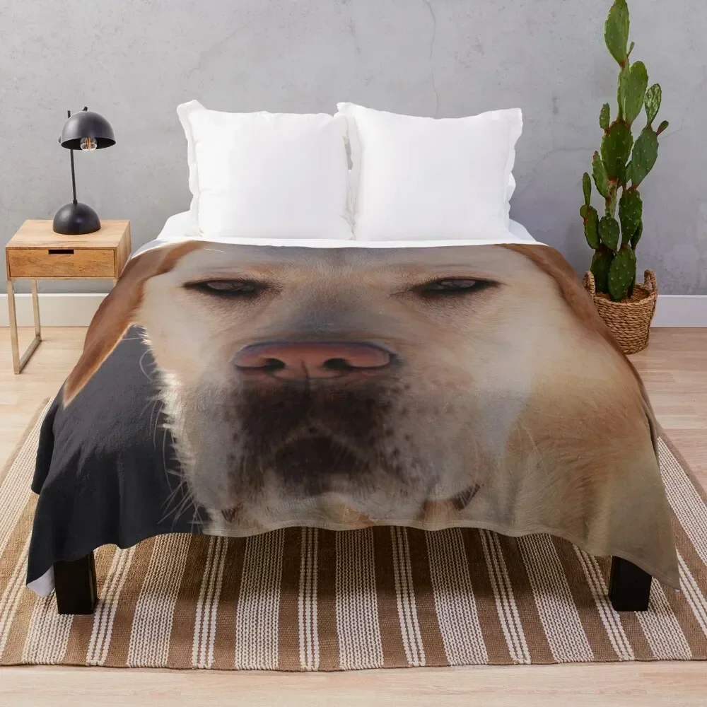 

Portrait of A Golden Labrador Dog Throw Blanket Picnic Shaggy Soft Beds Bed linens Blankets