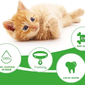 11 Hauptverkaufskatuo - №2