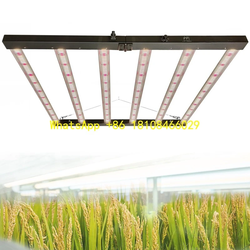 

Greenhouse Full Spectrum Led 720w Grow Light Hydroponic Customization 720w Led Grow Light