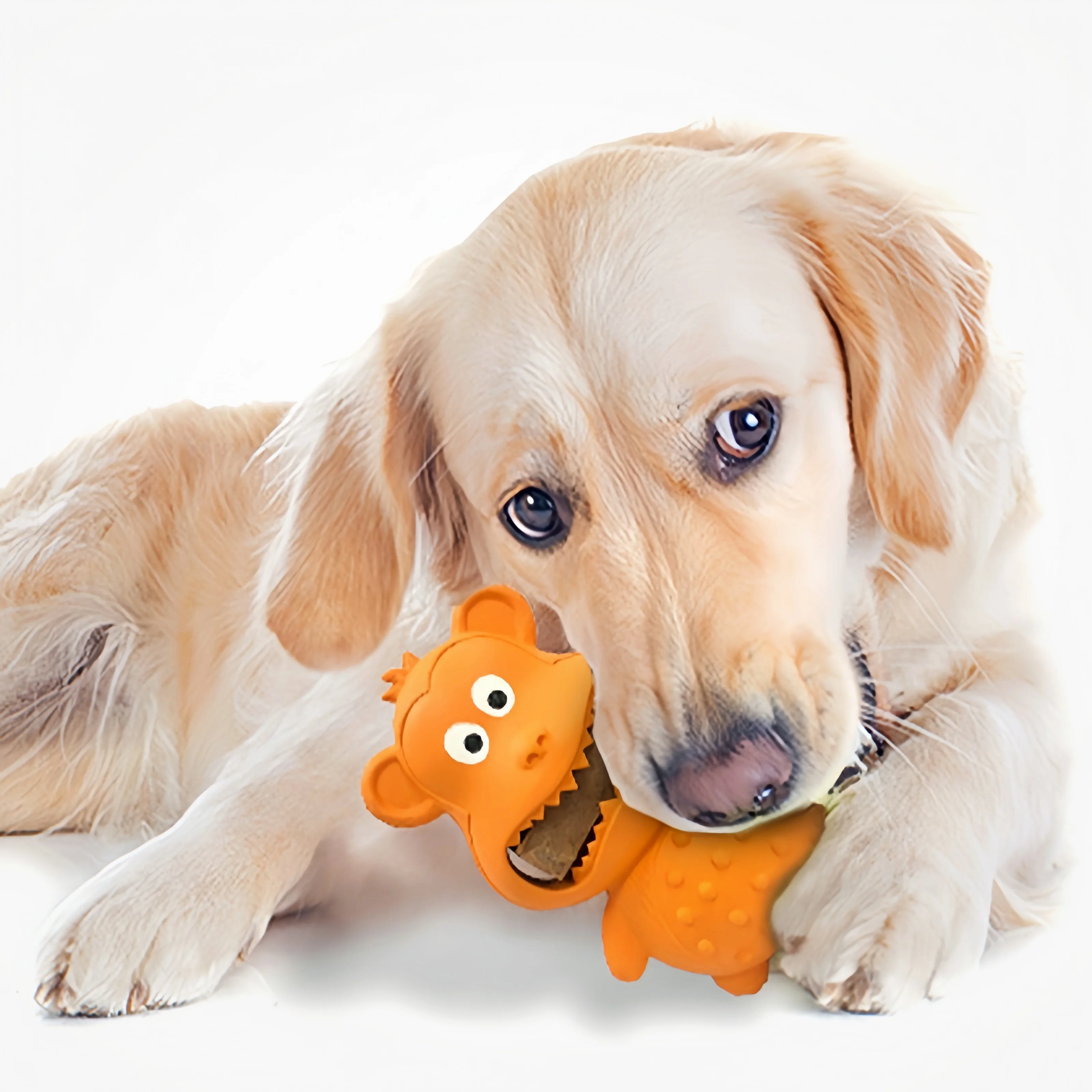 

​Natural Rubber Dog Toys 5 in 1 Teeth Cleaning Chew Toys Gum Relief Squeaky Fun for Puppies Interactive Play Pet Supplies