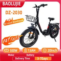 BAOLUJIE DZ-2030 Electric Bicycle 20*4.0 Inch Wide Tire Men's E-Bike 500W Motor 48V 13Ah Battery Adult Electric Bike