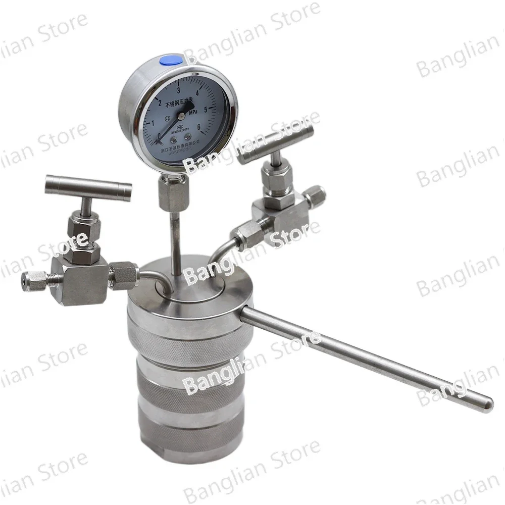 Hydrothermal Synthesis Autoclave Reactor Vessel, inlet Outlet Gauge, 100ml, 6Mpa