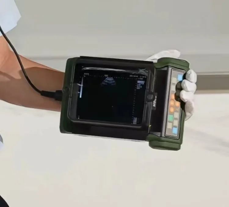 Mesin pemindai Ultrasound, dengan LED Digital penuh 5.7in rku10 B Mode dokter hewan domba sapi kuda