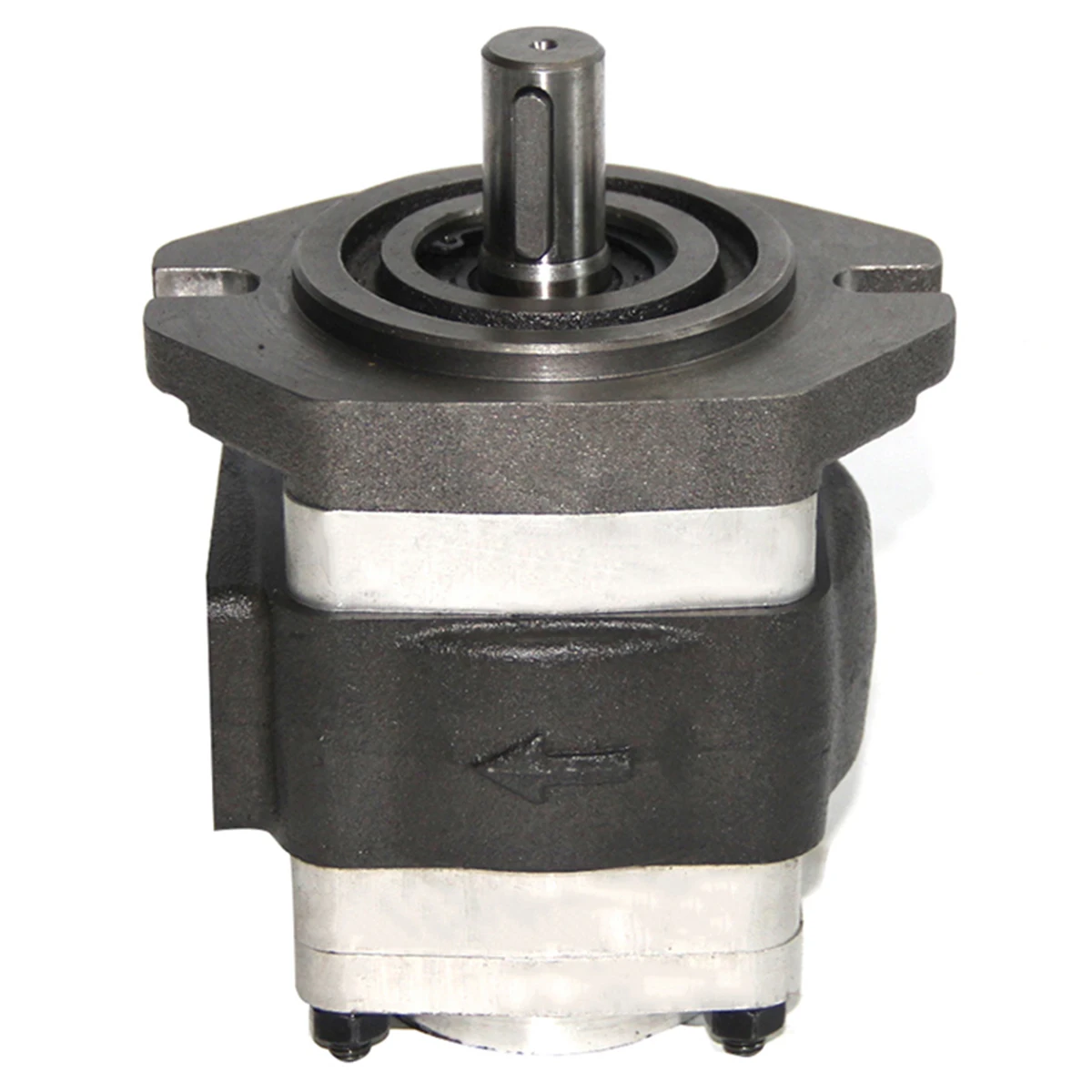 NBL2A1-251L-H01 Internal Gear Pump Stainless Steel Hydraulic Gear Pump