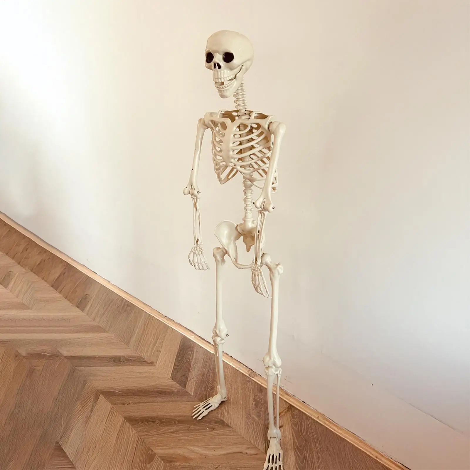 Halloween Realistische Körperskelette in Lebensgröße mit Beweglichen Gelenken, Simulierter Schädel, Geisterhaus-Horror-Requisiten – Detail 14