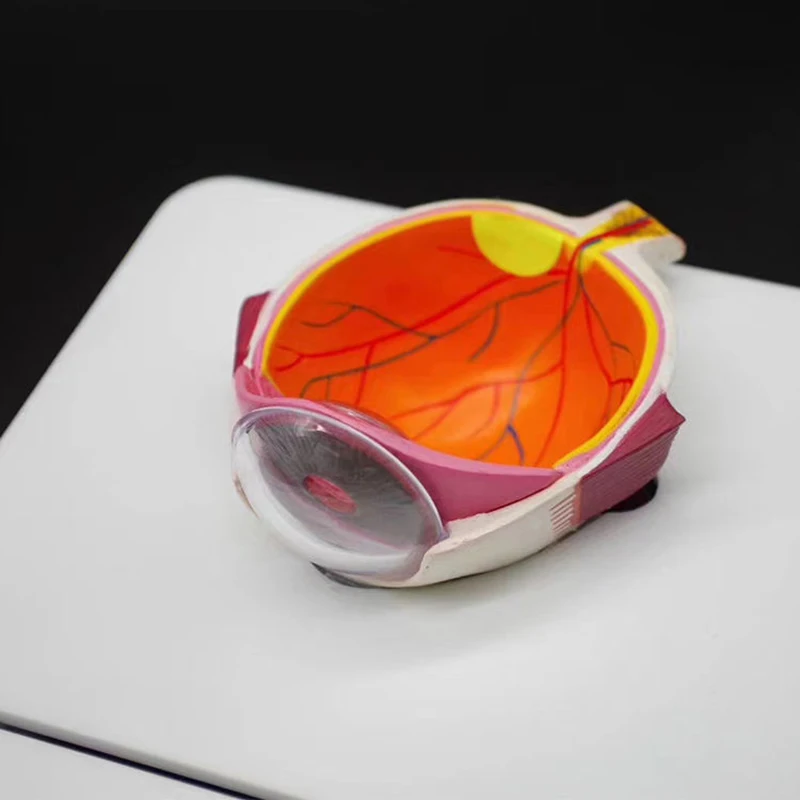 Uv Photochromic Tester Accessory Uv Test Tools Uv400 Tester Lens Photochromic Tester Testing Optical Lens