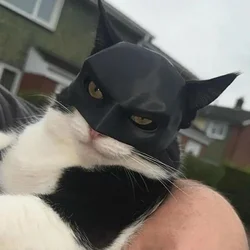 Masque de chauve-souris noire Avenger pour chats et chiens, mignon, sourire cool, héros, jouets pour animaux de compagnie, cadeau, 256