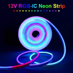 Tira de luces LED de neón, iluminación RGB IC de 12V, direccionable, colores de ensueño, funciona con aplicación inteligente Bluetooth