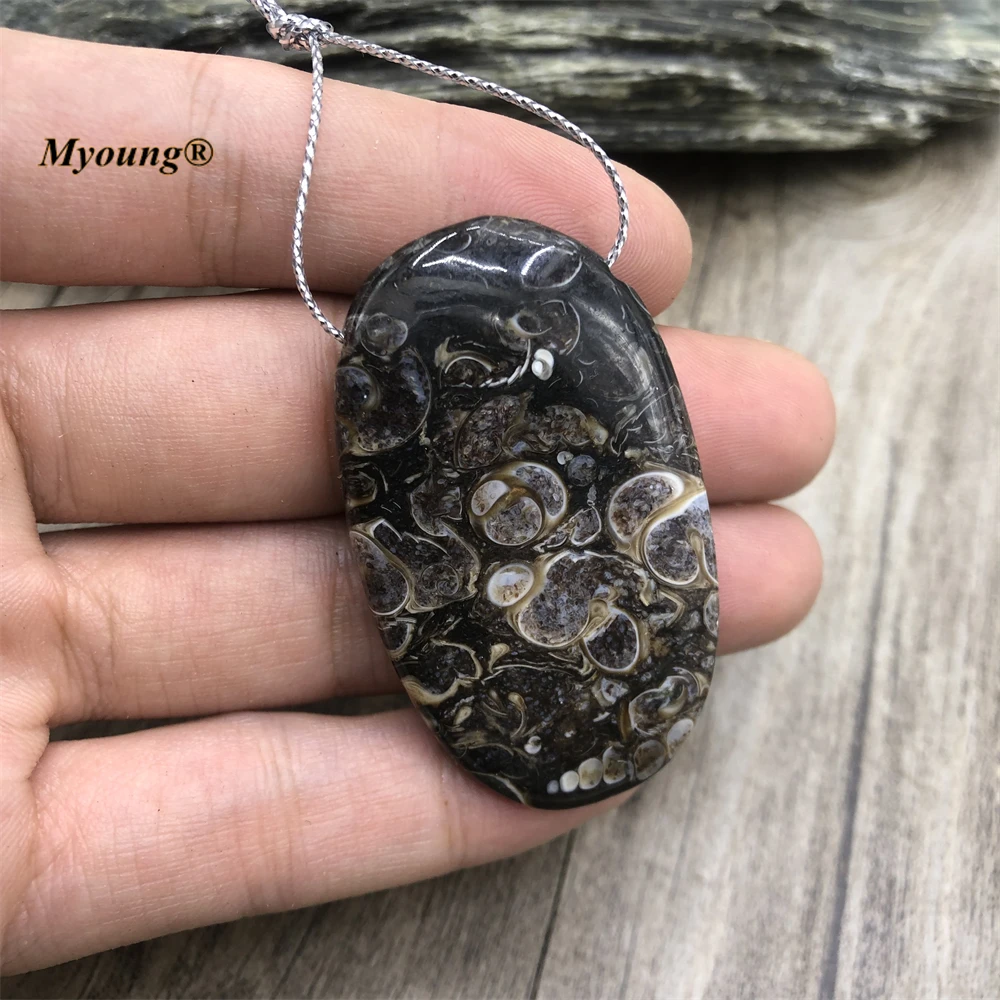 Egg Shape Large Natural Ocean Reliquiae Conch Ammonite Fossils Stone Slice Pendant MY221017