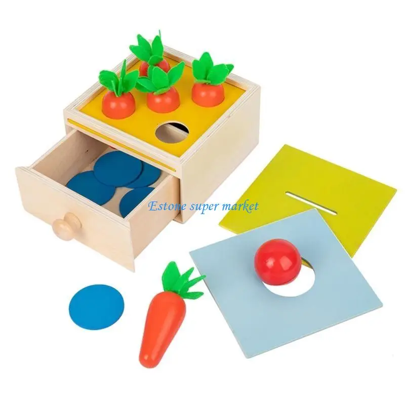 090B Children's Wooden Carrots Matching Educational Training