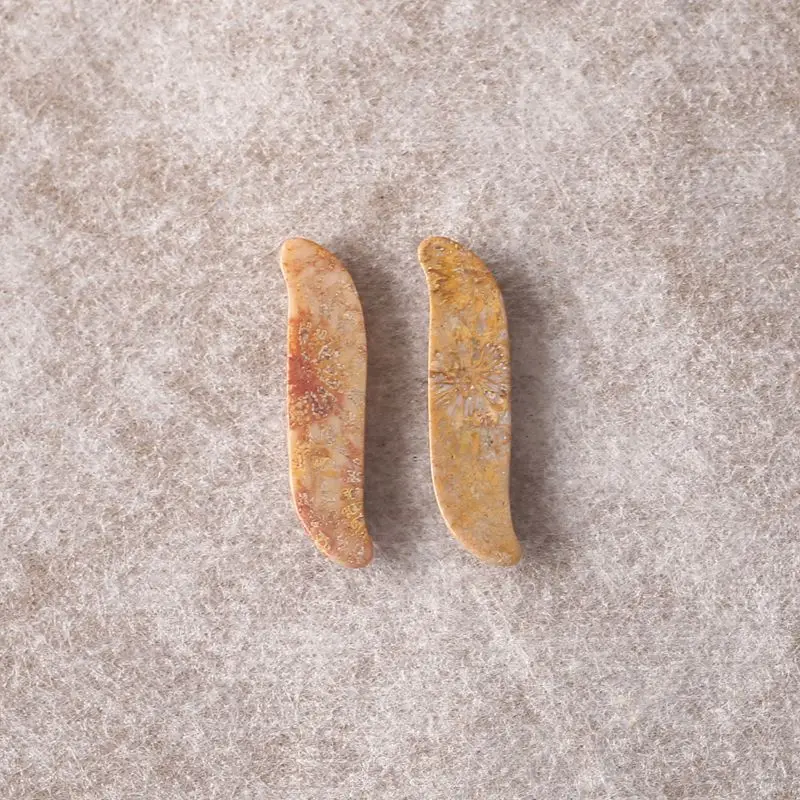 2PCS Polished Coral Stone Curved Pendants Natural Earthy Brown Gemstone for Boho & Vintage Jewelry Designs 29x7x3mm-2g