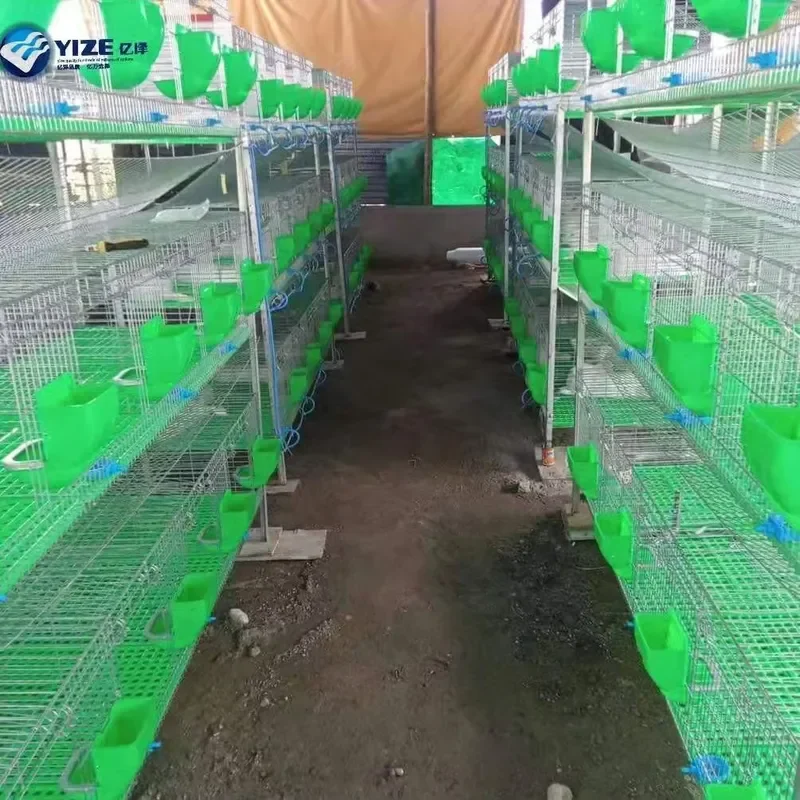 Automatic Rabbit Farm Cages with Water Nipple Drinker for Rabbit Breeding