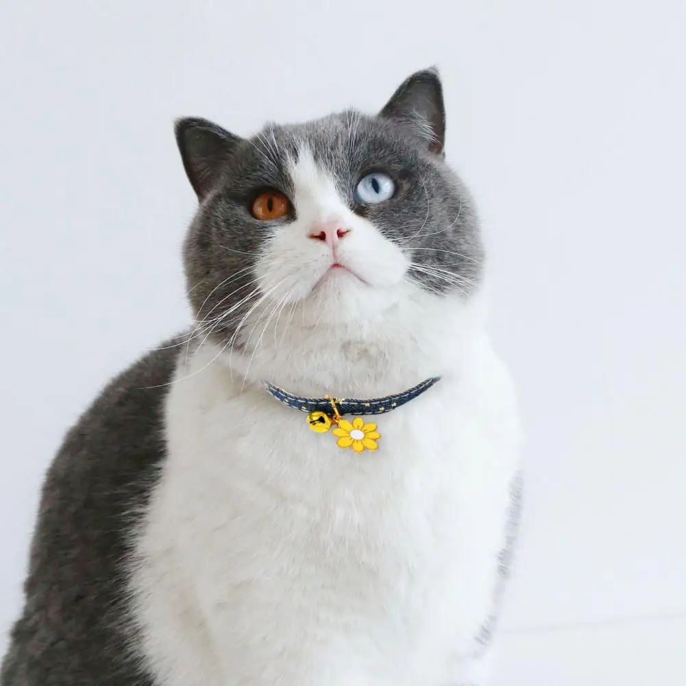 Denim Rope Buckle Closure Kitten Collar Adjustable Flower Bell Pendant Pet Collar Photography Pro Necklace Puppy Accessories