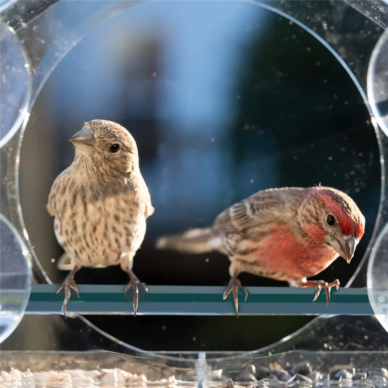 

AB39-Bird Feeder, Acrylic Clear Window Bird Feeder, Tray Bird Garden Pet Feeder