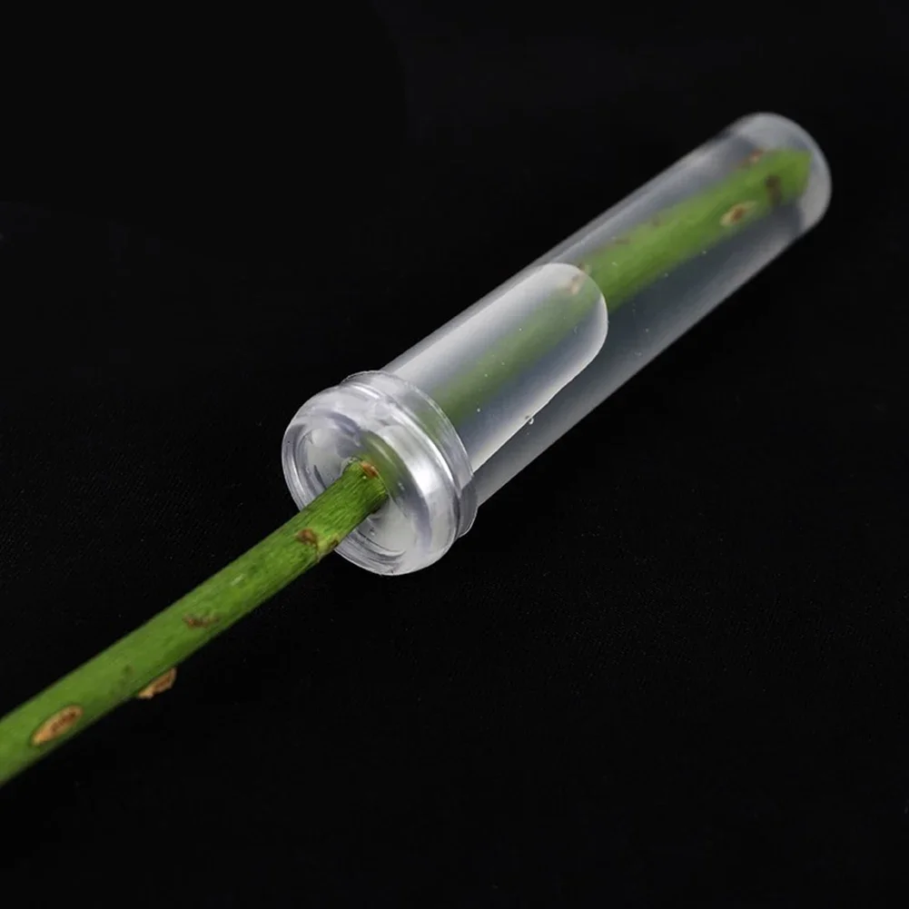 100 Or 200 Pcs Plastic Water Tubes For For Floral Use With Cover 1.8x4cm And 1.8x7cm For Bouquet Prep And Event Setups