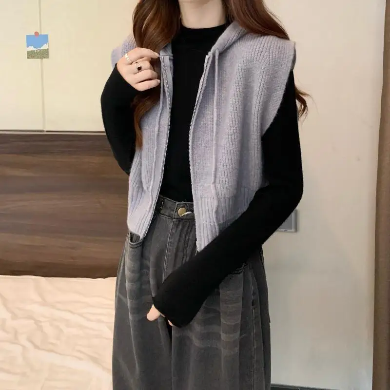 Hdspq Lazy Style Hooded Knitted Vest Women Casual All-Match Gray Zip Up Sweater Tops Woman 2023 Fashion Simple Sleeveless Tanks