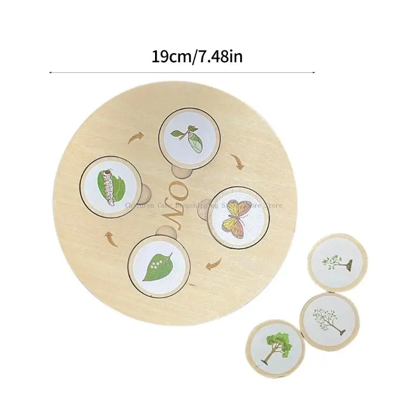 Biological Life Growing Boards Boards พ่อแม่กิจกรรมเด็กกิจกรรมการศึกษาปฐมวัยของเล่น