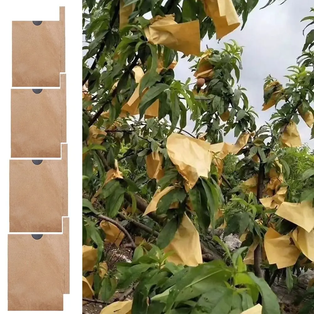 100PCS Breathable Fruit Development Bag Waterproof Against Insect Anti-Bird Pouch Promote Growth Protection Bag Fruit Growth