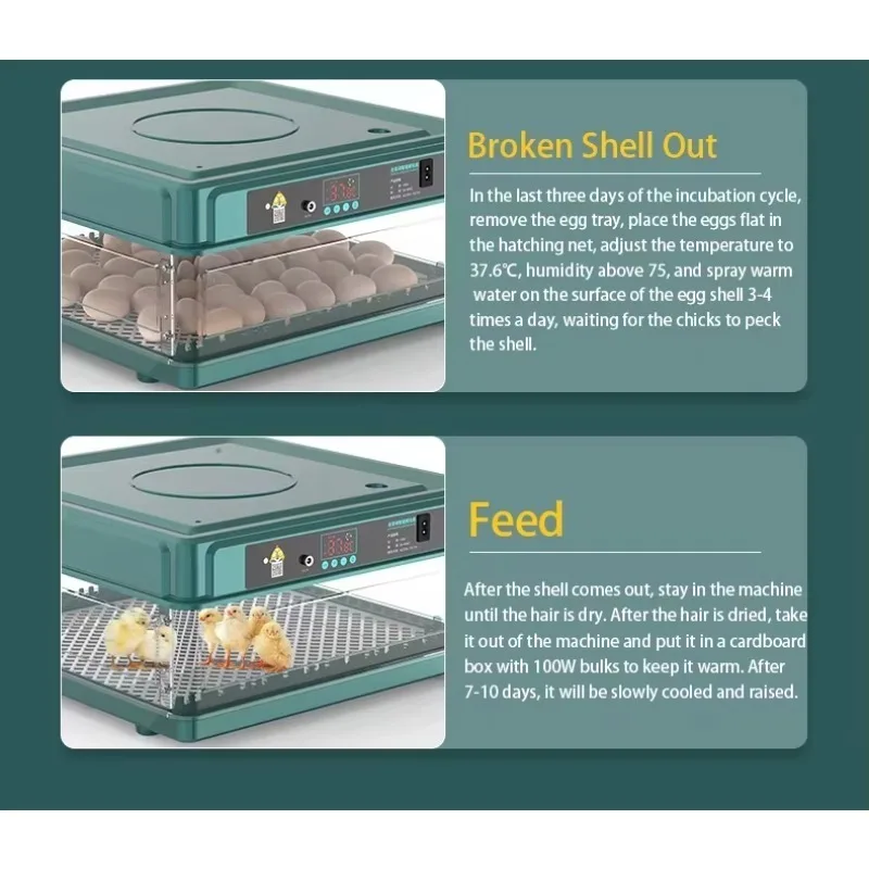 48 Egg Fully Automatic Hatching Incubator Machine for Chicken Quail Duck Goose Pigeon - Adjustable 220V/110V/12V Voltage
