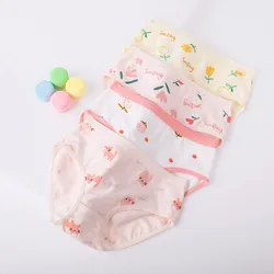 4PCS Kid Cotton Soft Antibacterial Briefs for Girl Cute Cartoon Print Panties Thin Breathable Knickers 2+y Young Child Underwear