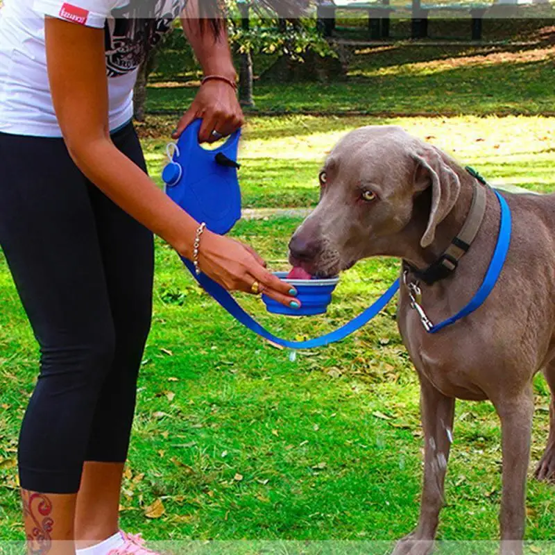 

pet dogs Leash with Built-in Water Dispenser and Bowl Leash for Dogs Portable Pet Water Bottle for Outdoor Walking Camping