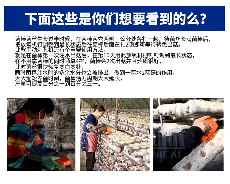 fungus exhaust machine, manual bacterial stick punching oxygen, small shiitake mushroom, oyster mushroom mycelium rejuvenation