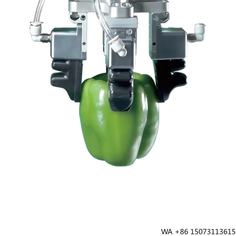 

Flexible Pneumatic Artificial Finger Gripper, Complete Set of Soft Grippers Made in China