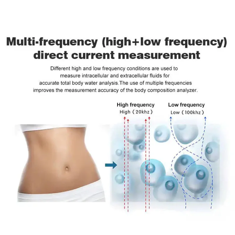 محلل الدهون الرقمي لقياس الدهون في الجسم بالكامل، مقياس آلة Bmi للتعرف على الجسم ثلاثي الأبعاد