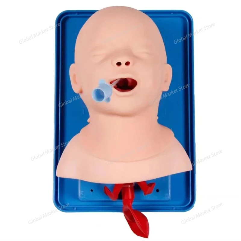 Modelo de entrenamiento de intubación traqueal para recién nacidos, modelo de estudio, simulador de intubación traqueal Nasal Oral con tubo endotraqueal