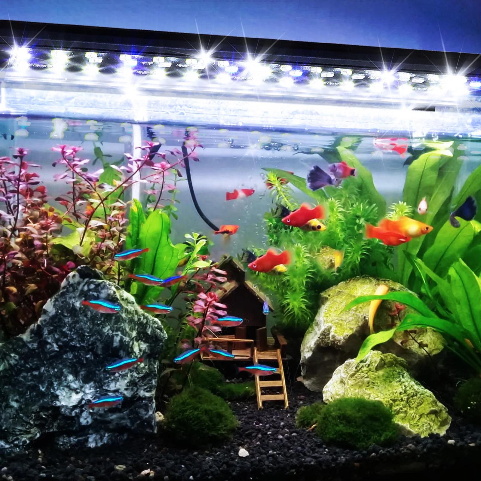 

Aquarium Light with Remote -90CM LED Fish Tank Lighting for Freshwater Saltwater Plants UK Plug