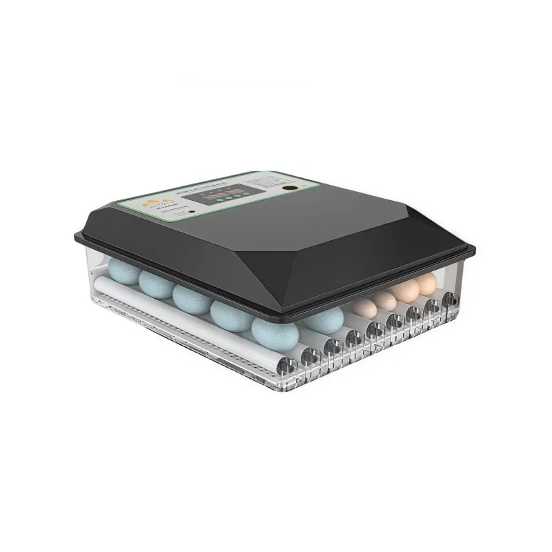 

New 12V/220V Egg Incubator with High Hatching Rate 98pcs Capacity for Home Use Essential Pump and Bearing Components Included