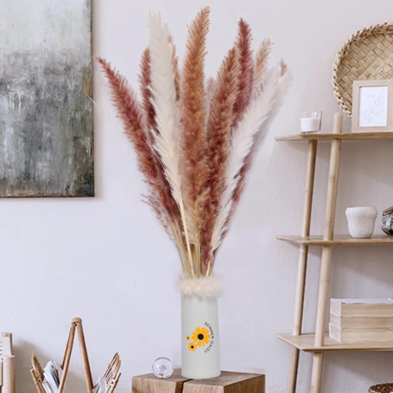 

Natural Dried Pampas Grass Accessories Plants Wedding Centerpieces Backdrop Flower Bunch Living Room Decorations