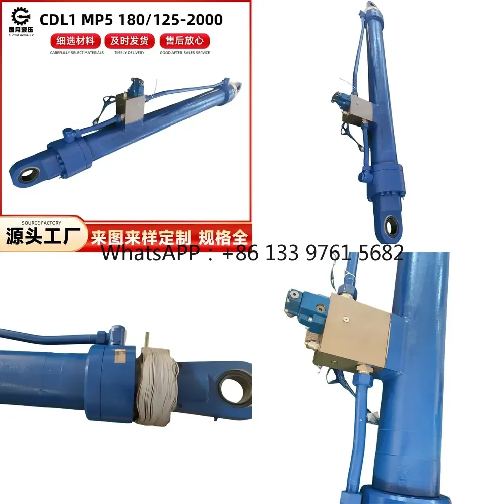 WSQ CDL1 MP5 180/125-2000 Hydraulic cylinder Non-standard foreign trade lifting cylinder Binaural