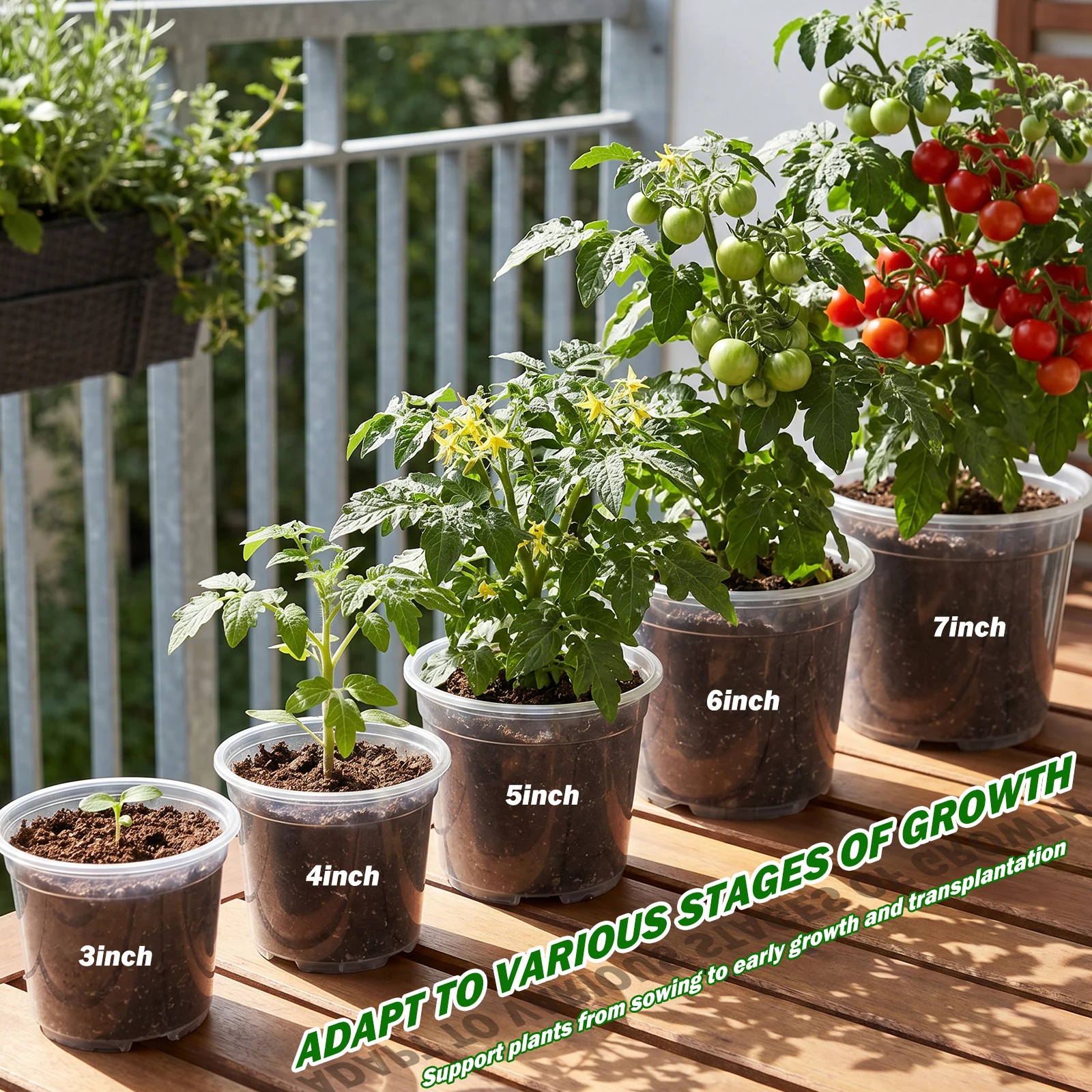 25 Adet Şeffaf Fidanlık Saksıl - Net Pot 3 Inch incelemesi ve fiyatı