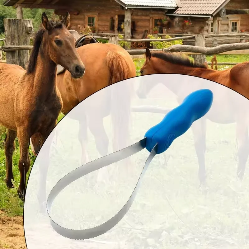 Stainless Steel Serrated Horse Shedding Scraper, Efficient Pet Hair Remover Grooming Brush for Horses, Dogs and Livestock